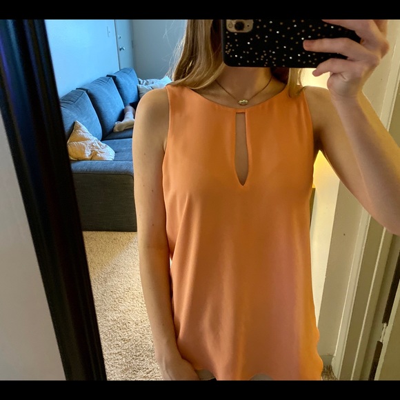 Reversible Chiffon Blouse - Picture 2 of 3